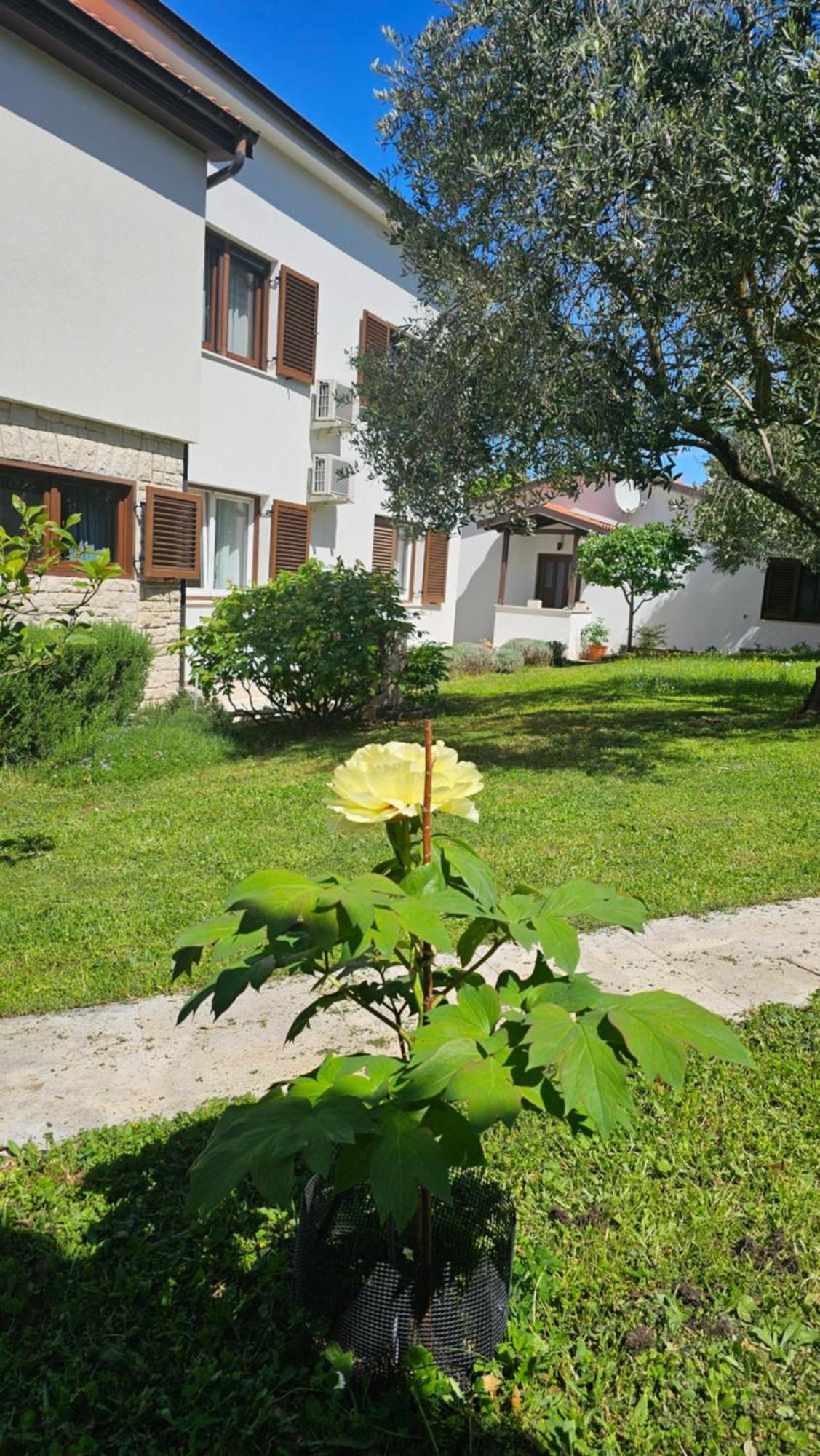 Apartments Dina Pula Dış mekan fotoğraf